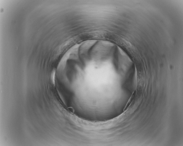 X0000087310047200705041700