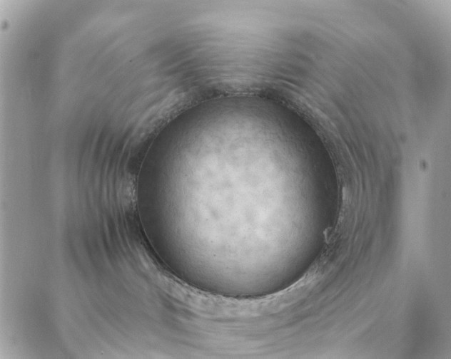 X0000087310048200705041700