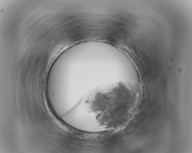 X0000087310049200705041659