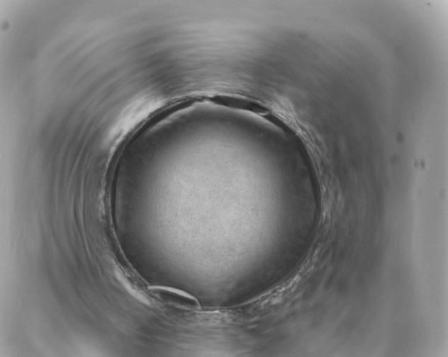 X0000087310050200705041659