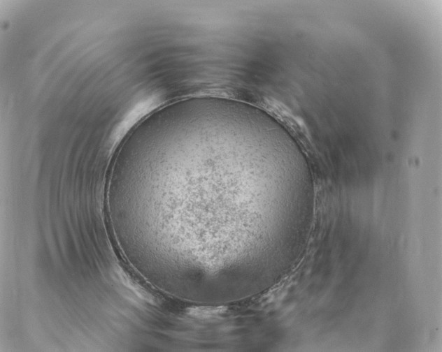 X0000087310051200705041659