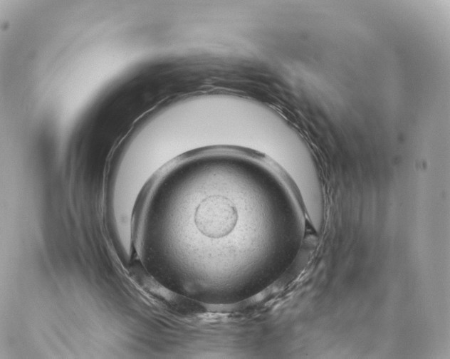 X0000087310052200705041659