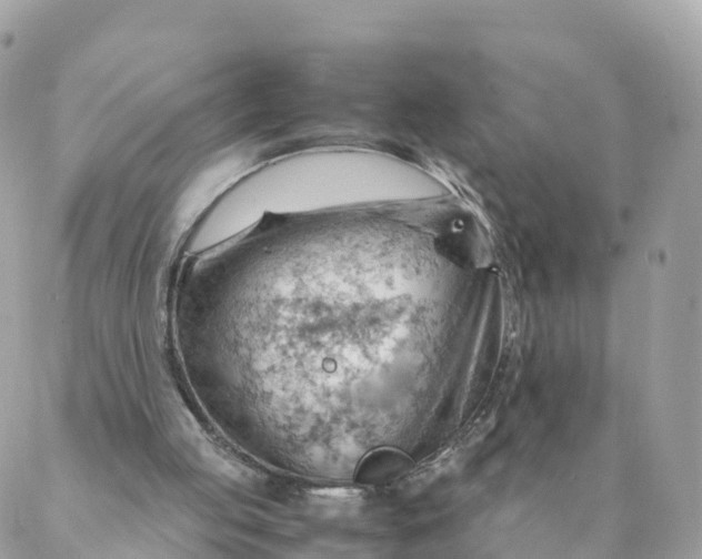 X0000087310053200705041659