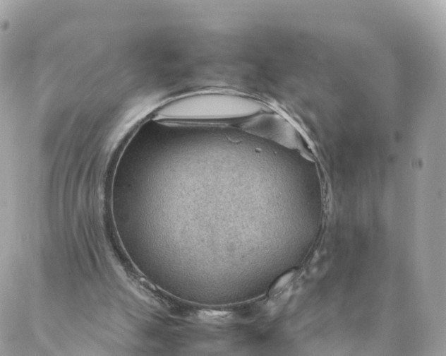 X0000087310055200705041659