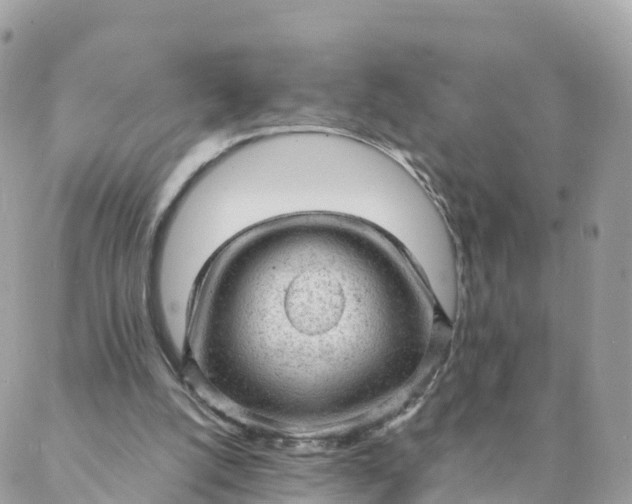 X0000087310056200705041659