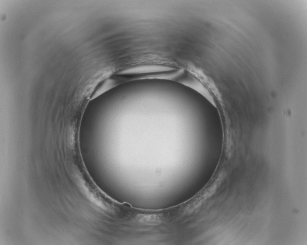 X0000087310057200705041659