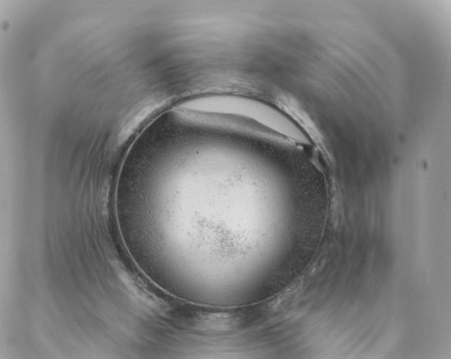 X0000087310058200705041659