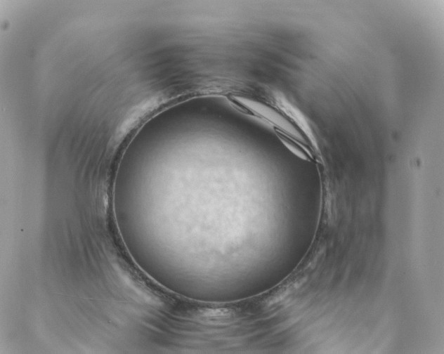 X0000087310059200705041700