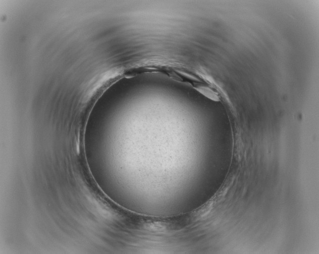 X0000087310062200705041700