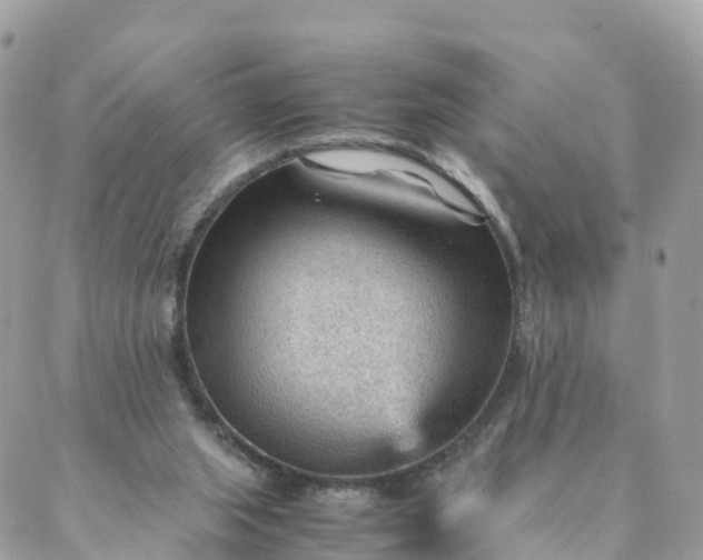 X0000087310063200705041700