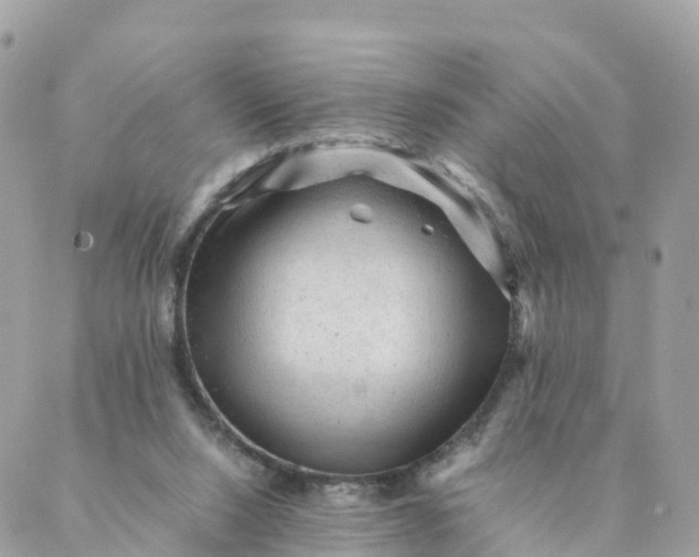 X0000087310064200705041700