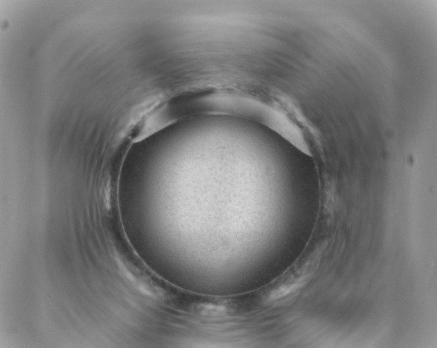 X0000087310068200705041700