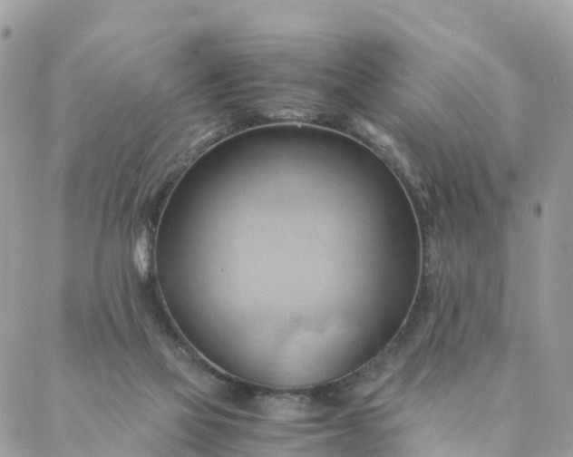 X0000087310069200705041700