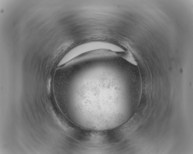 X0000087310070200705041700