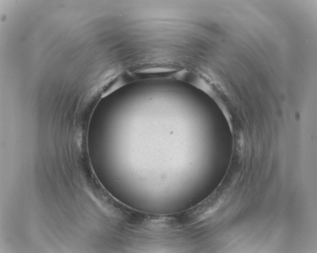 X0000087310072200705041700