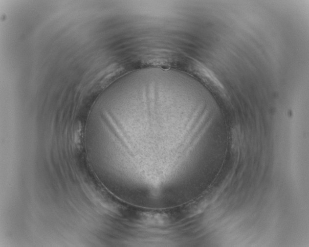 X0000087310073200705041700