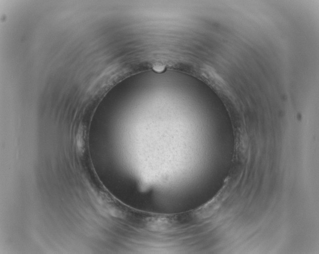 X0000087310074200705041700