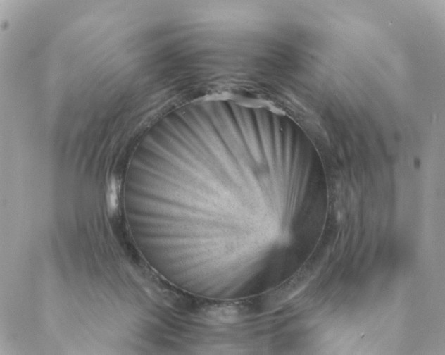 X0000087310075200705041700