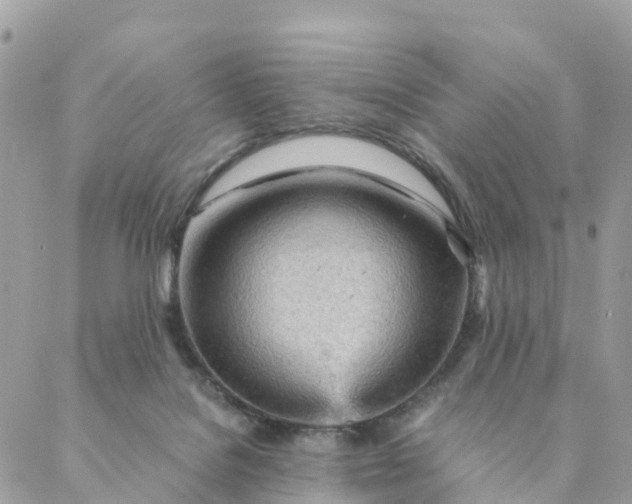 X0000087310076200705041700