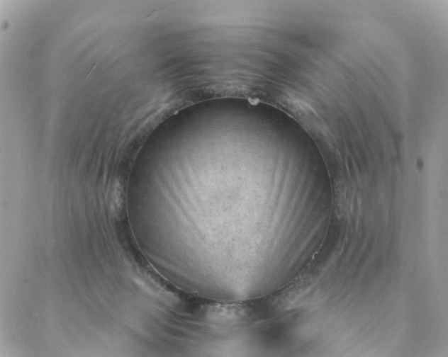 X0000087310077200705041700