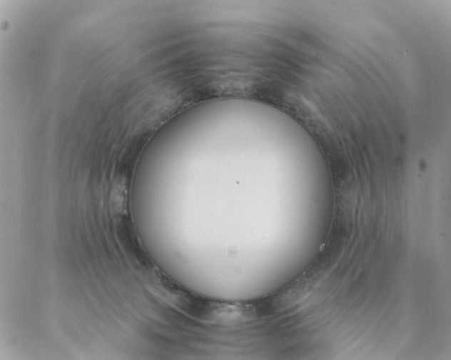 X0000087310083200705041700