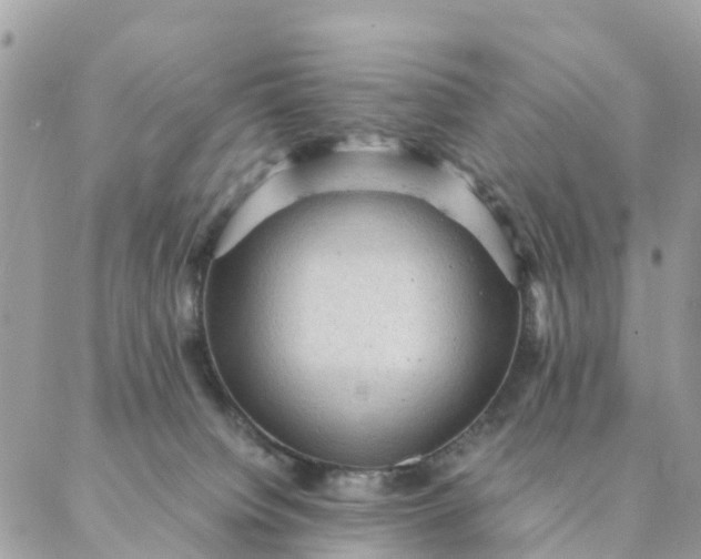 X0000087310084200705041700