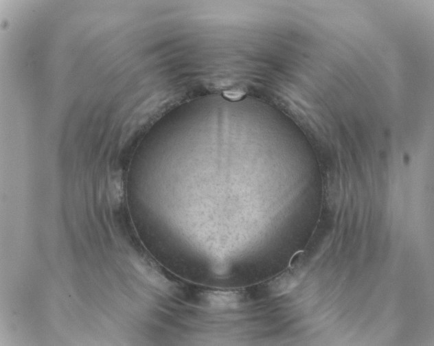 X0000087310085200705041700