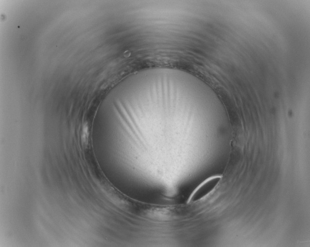 X0000087310086200705041700