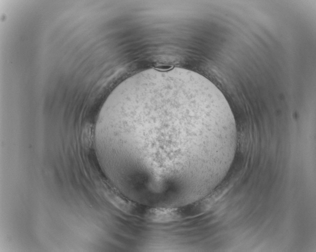 X0000087310093200705041700