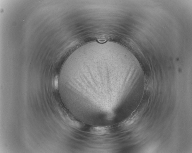 X0000087310095200705041700