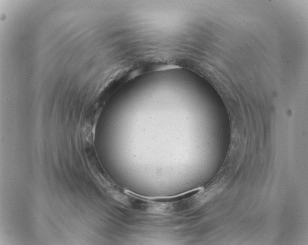 X0000087310096200705041700