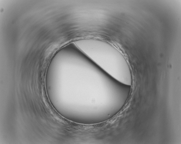 X0000087310097200705041659