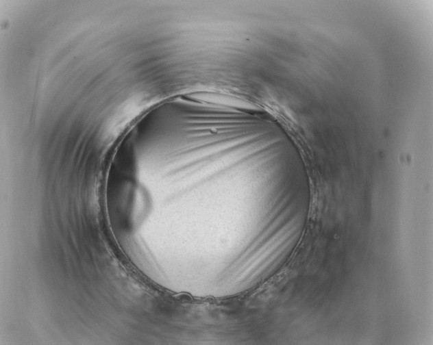 X0000087310098200705041659