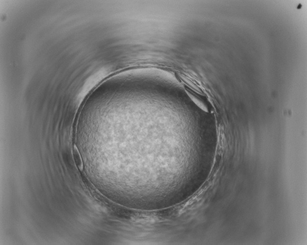 X0000087310099200705041659