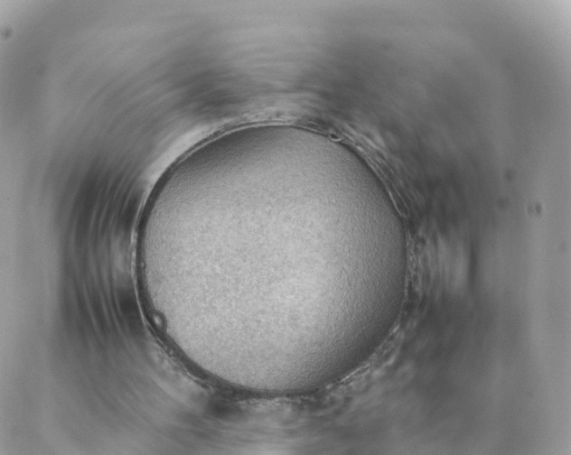 X0000087310100200705041659