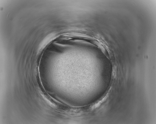 X0000087310101200705041659