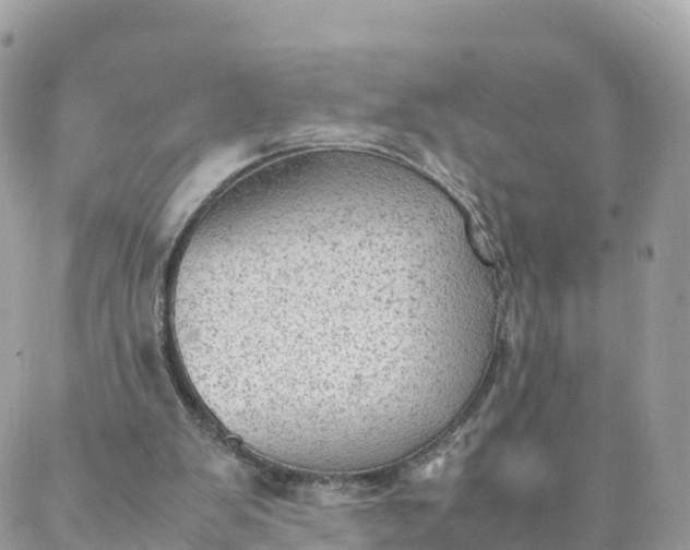 X0000087310103200705041659