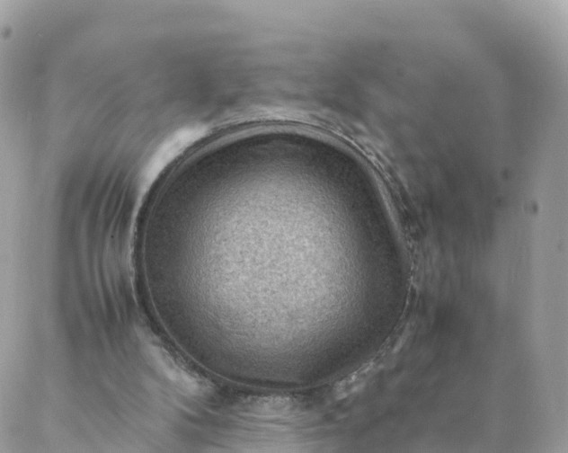 X0000087310104200705041659