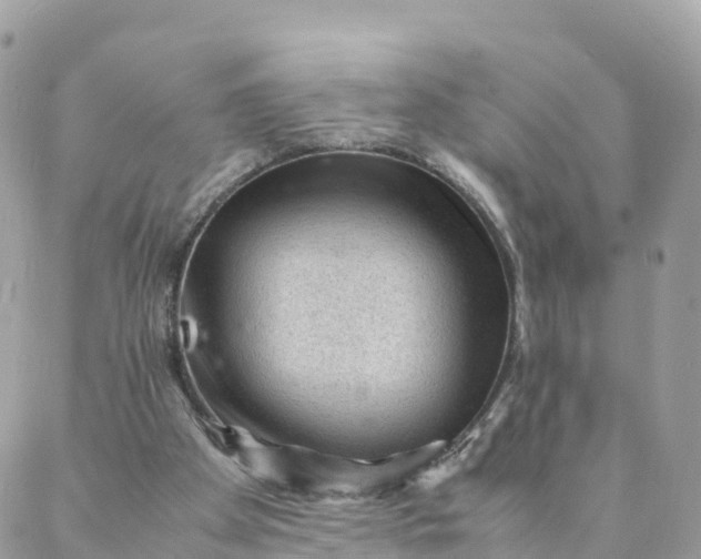 X0000087310105200705041659