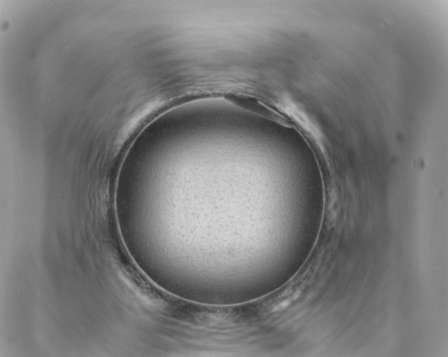 X0000087310107200705041659