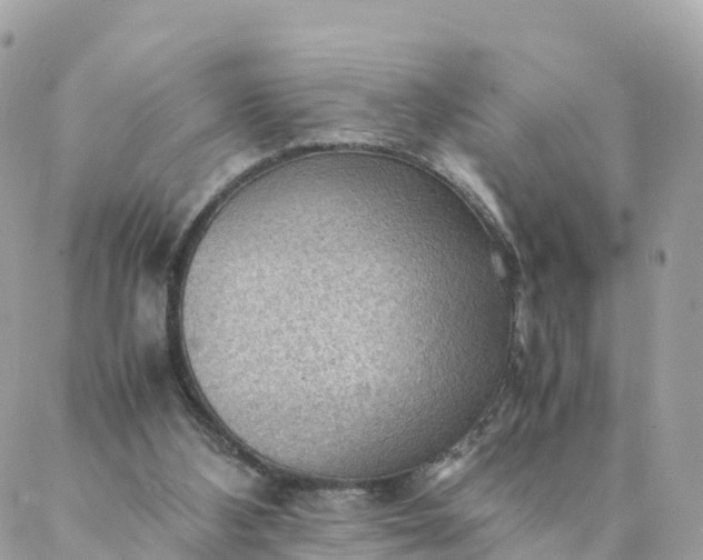 X0000087310108200705041659