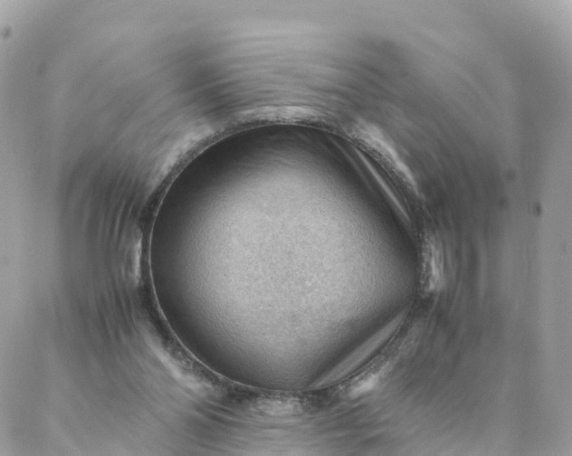 X0000087310110200705041659