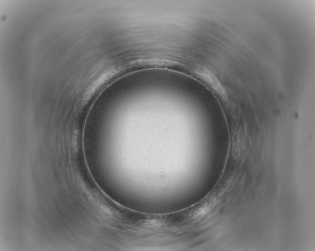 X0000087310111200705041659