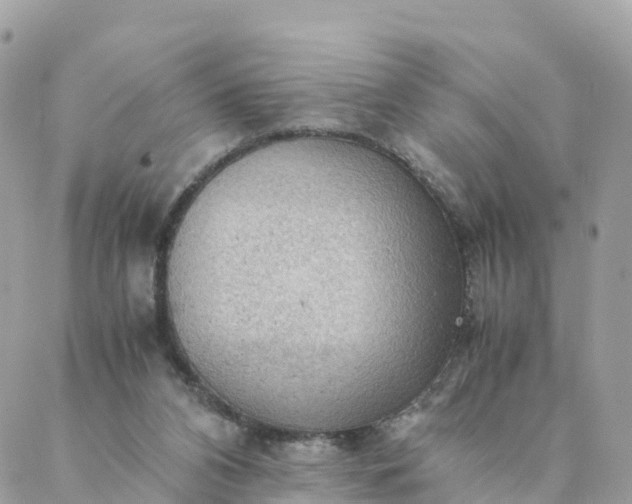 X0000087310112200705041659