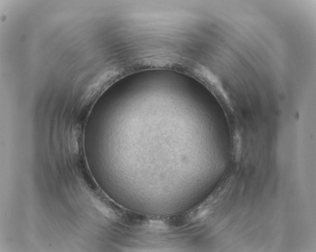 X0000087310114200705041659