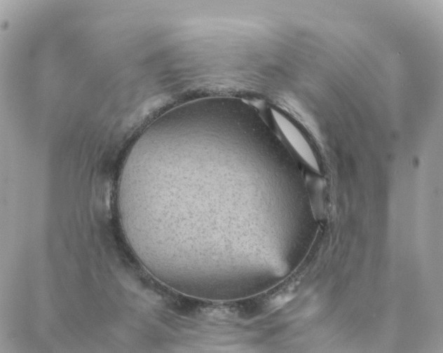 X0000087310115200705041659