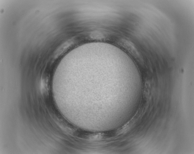 X0000087310116200705041659