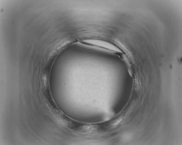 X0000087310117200705041659