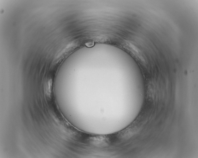 X0000087310118200705041659