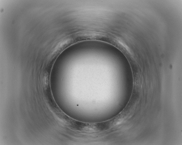 X0000087310119200705041659